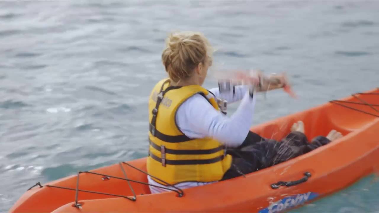 More to explore  - Hauraki Gulf and Islands