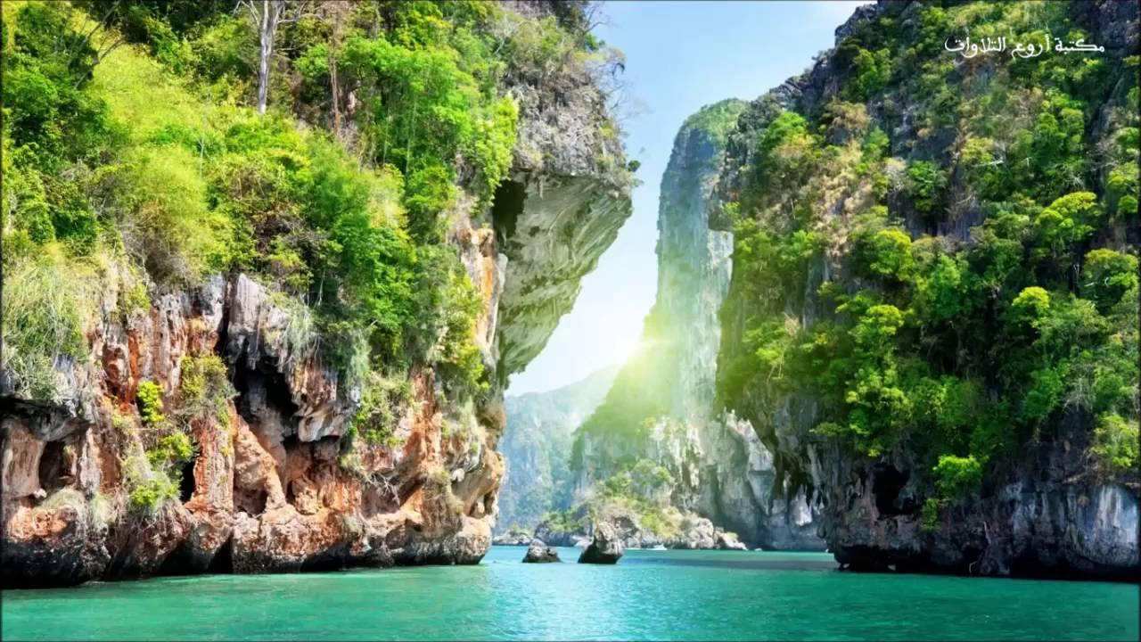 سورة يس بصوت القارئ نسيم يعقوب Surah Yasin I Qari Nassim Yaqub
