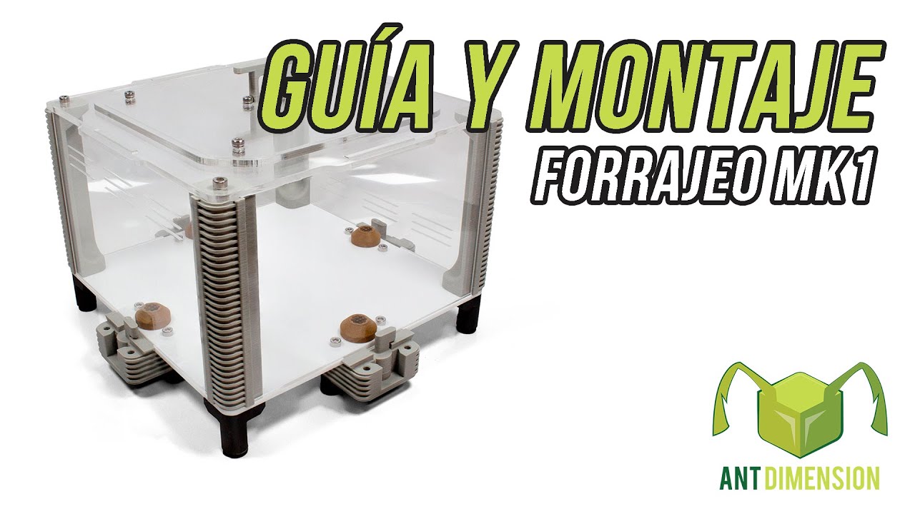 GUIA Y MONTAJE DEL FORRAJEO MK1 PEQUEÑO | Ant Dimension
