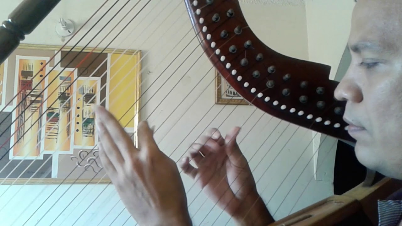 INSTRUMENTAL DE ARPA 