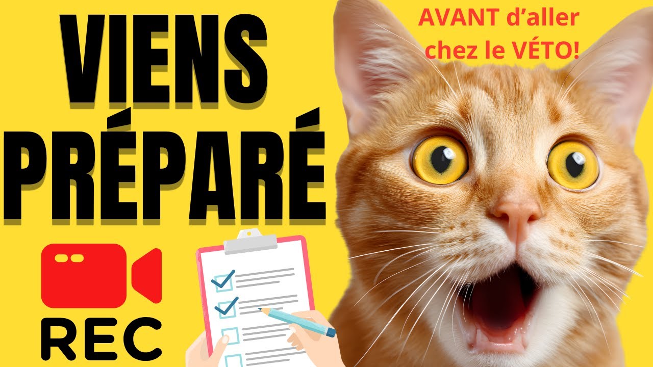 Ce que ton VÉTÉRINAIRE voudrait que tu saches... AVANT LA CONSULTATION !