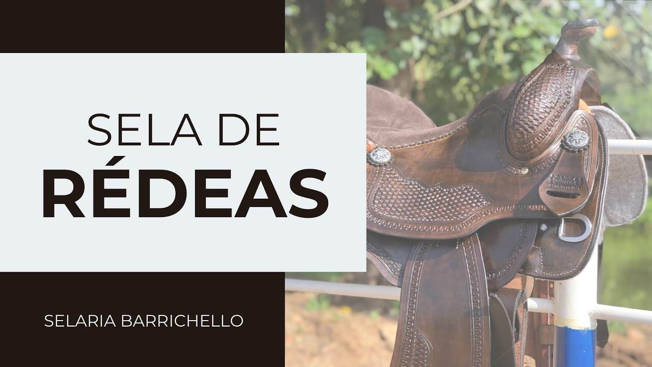 SELA DE RÉDEAS: conheça mais um produto da Selaria Barrichello