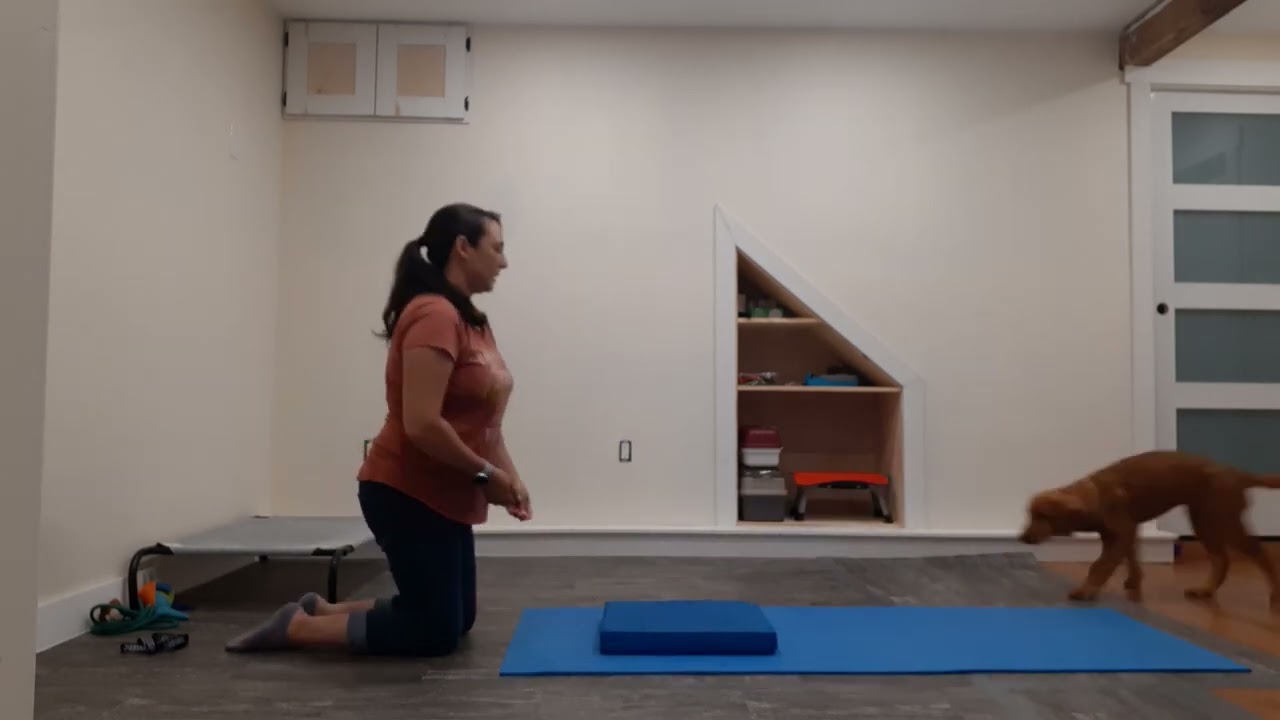 Functional Fitness - Flyer. Foundation Exercises: Free Stack