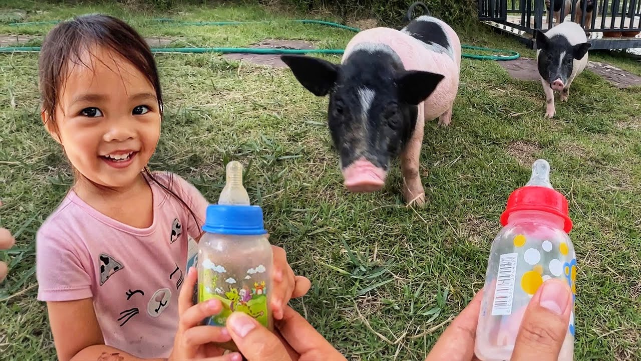 ป้อนนมหมู คาเฟ่เชือก ปทุมธานี | บริ้งค์ไบรท์