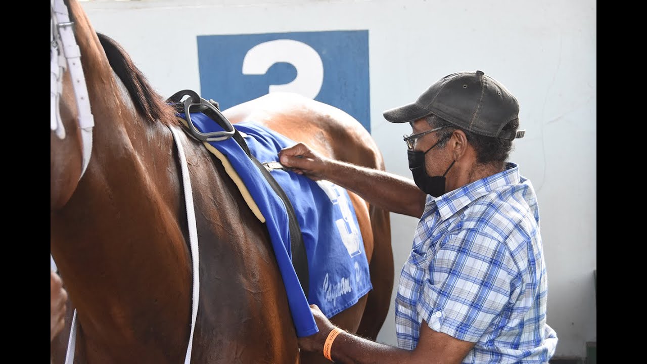 THE LIFETIME NARRATIVE OF TRAINER HOWARD MCLEOD