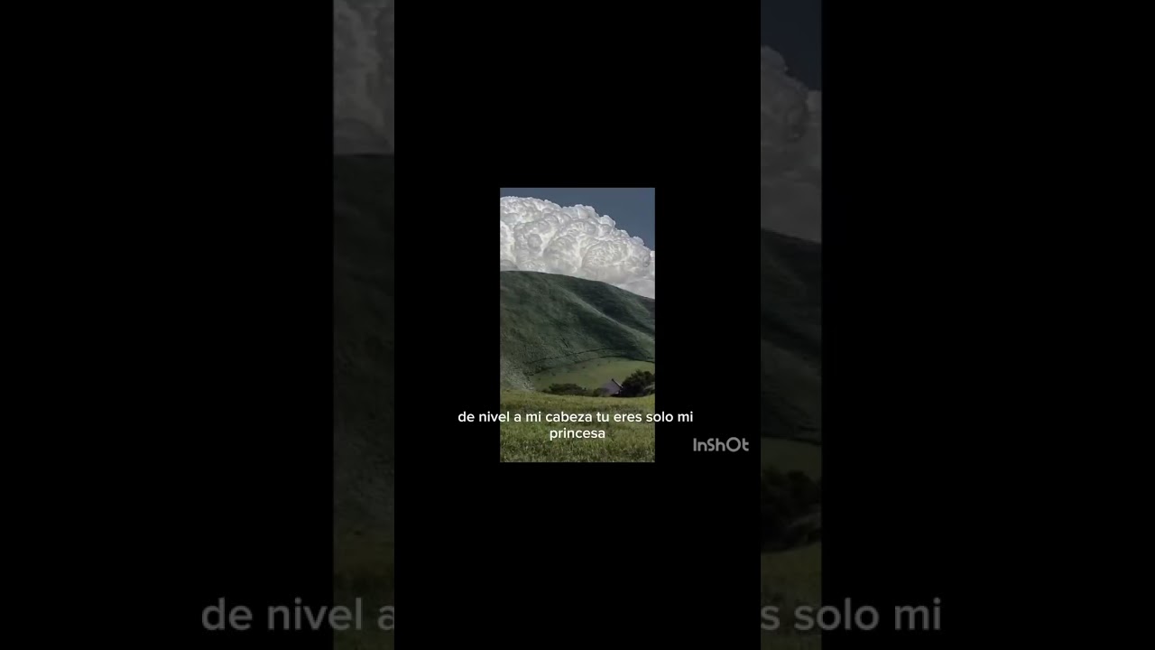 Tu let