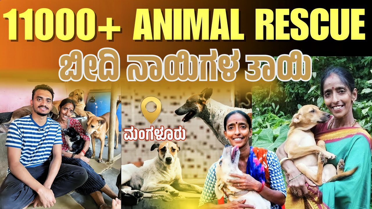 ಬೀದಿ ನಾಯಿಗಳಿಗೆ ಒಂದೊತ್ತು ಊಟ ಆಕಿ ಸಾಕು🙂| Rajini Shetty | Animy Rescuer | Mangalore Karnataka