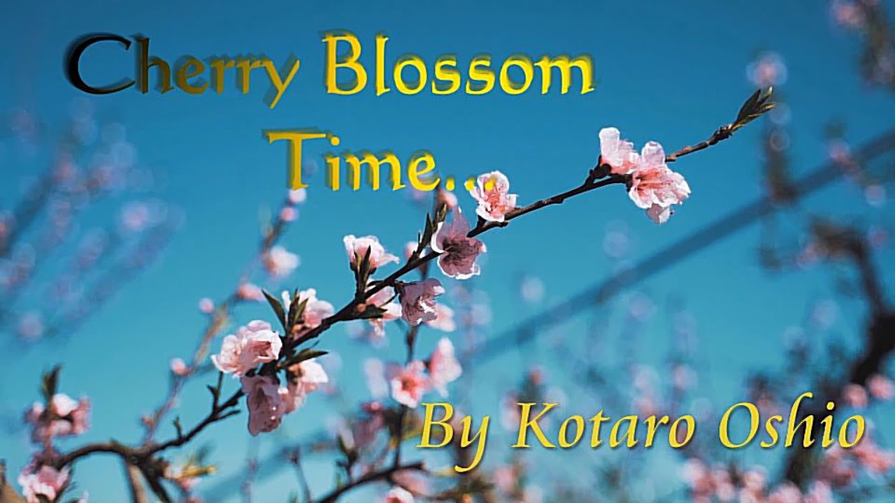 Cherry Blossom Time, by Kotaro Oshio, Arr Gerry Kidd Dec 2021