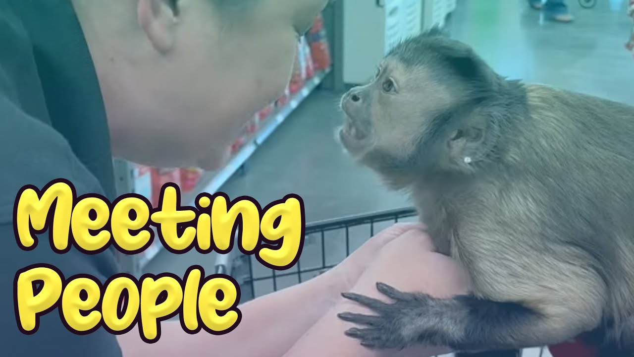 Pet Store Adventures With Gaitlyn Rae