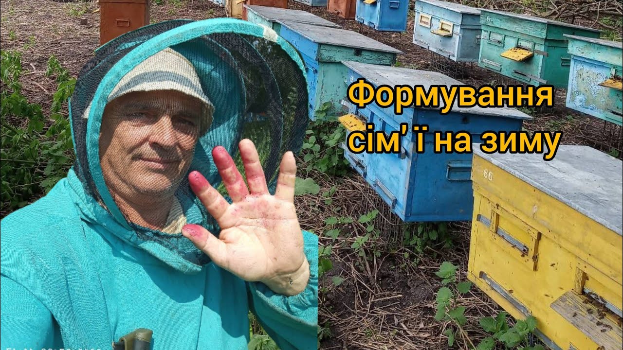 Формування сім'ї на зиму