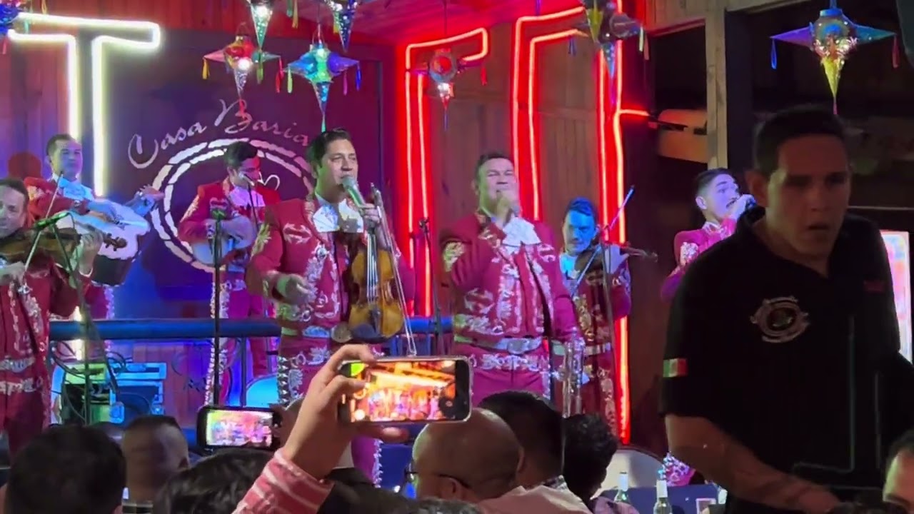 Te Llamé porqué te amo - Mariachi Sol de México de José Hernández