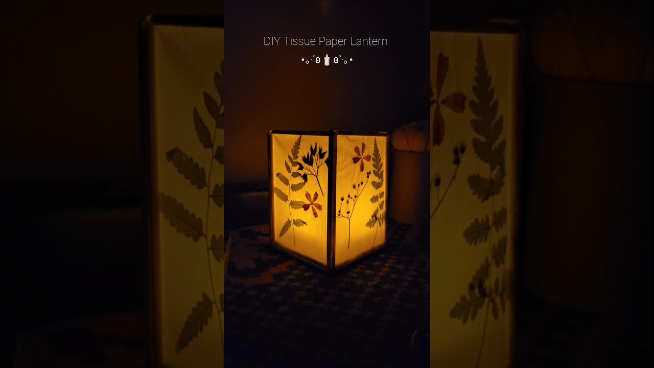 DIY Tissue Paper Lantern 🕯️✨ #diy #craft #creative #art #handmade #shorts