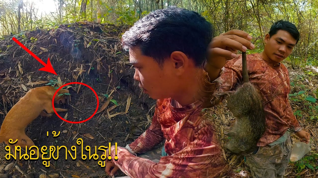 วันที่ 2 ใช้ชีวิตในป่าบ้านต้นไม้ กับสุนัขสายล่า ขุดเจอรูปริศนา ได้หนูไซส์ยักษ์ ใหญ่กว่าที่เคยได้มา!!