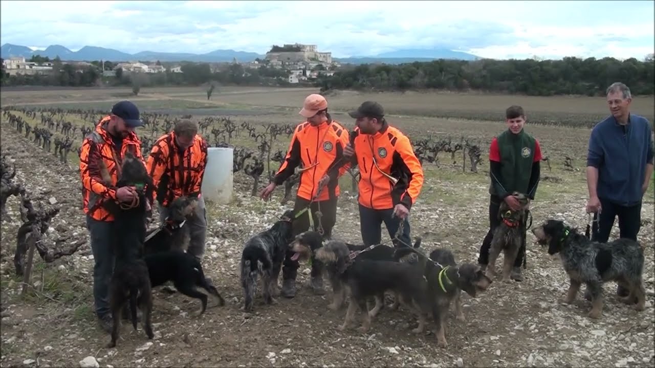 Regionale faccc dans la voie du sanglier GRIGNAN (26)