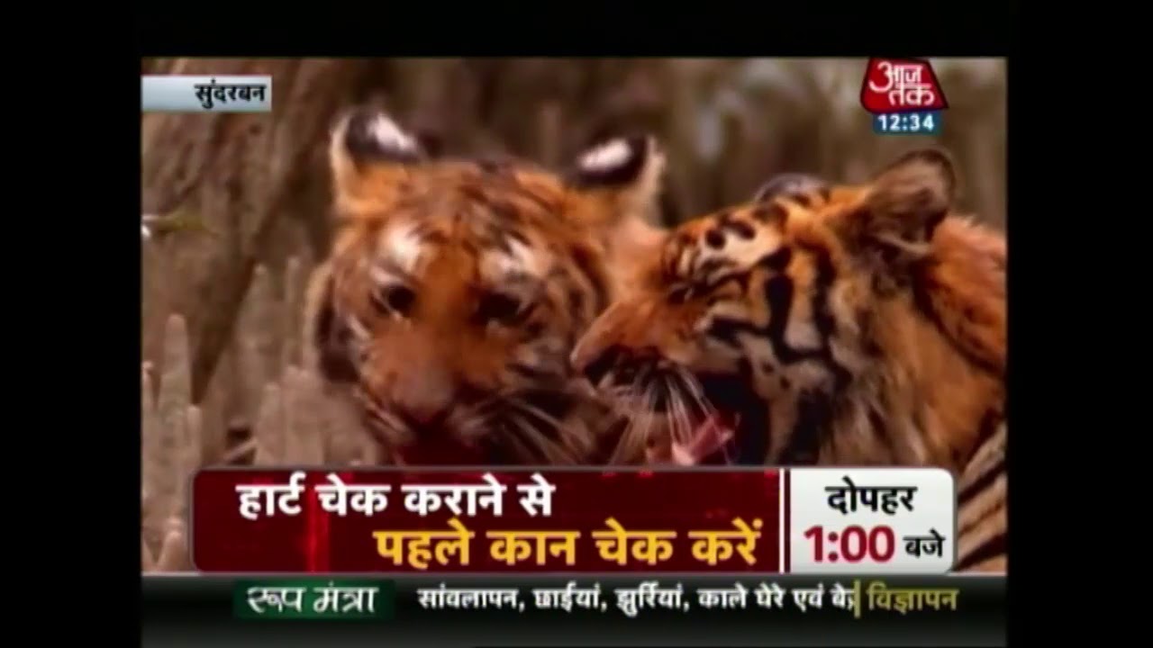 एक सफर आदमखोर बाघों की रहस्यमयी दुनिया का | अद्भुत अविश्वसनीय अकल्पनीय Part 2
