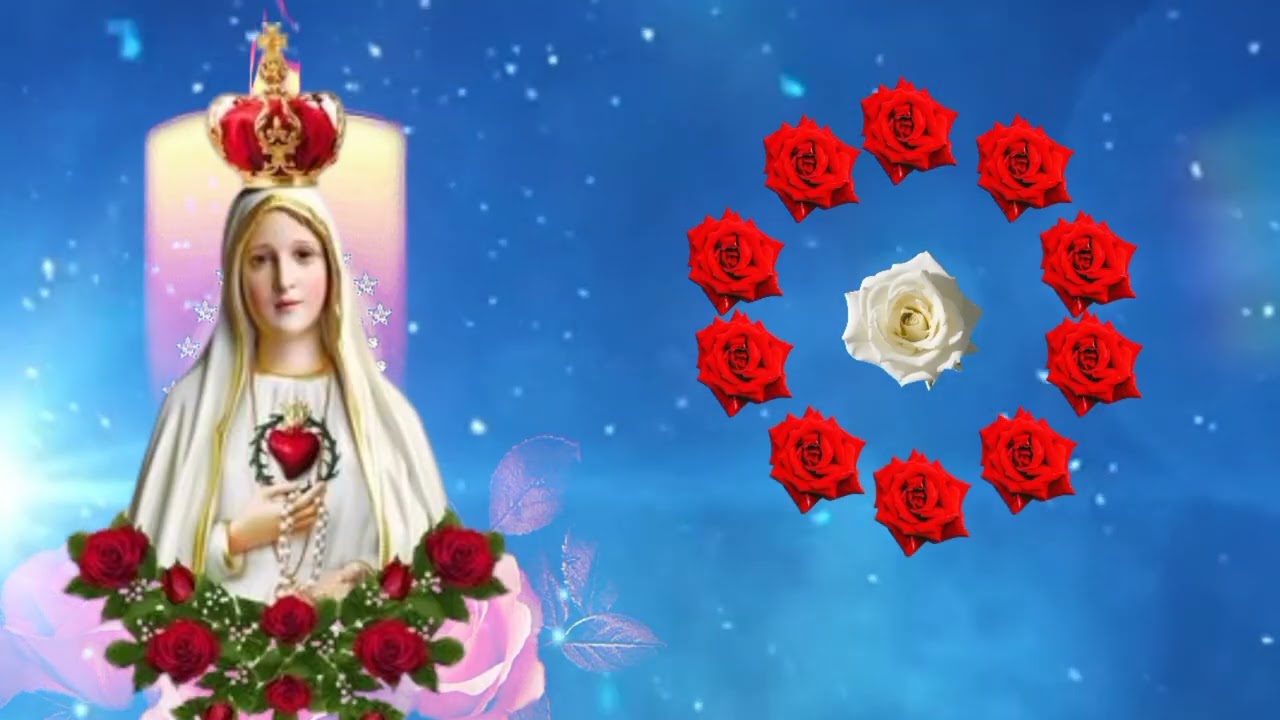 SANTO TERÇO de HOJE - SÁBADO(31/01/2026)🌹MISTÉRIOS GOZOSOS🌹- TERÇO NOSSA SENHORA DE FÁTIMA