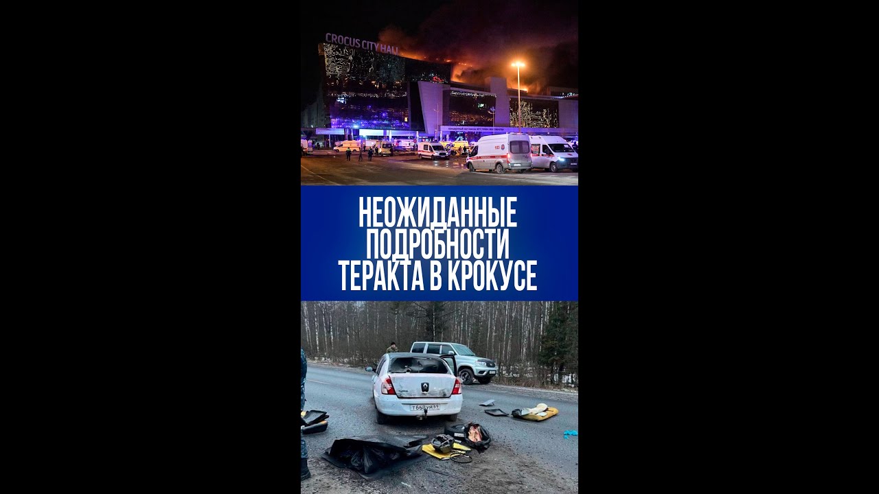 Неожиданный эпизод: как террорист забрался на дерево во время процесса по делу 'Крокуса'