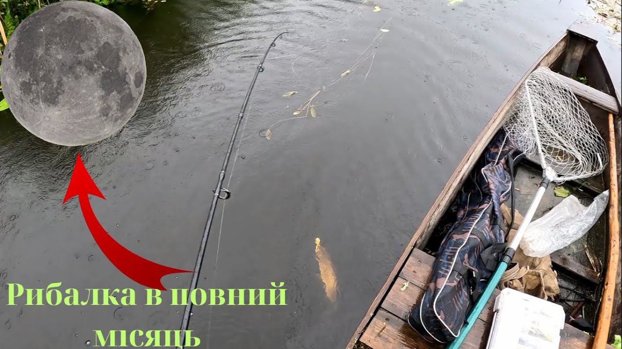 Риболовля щуки на Стохіді у повний місяць та дощ