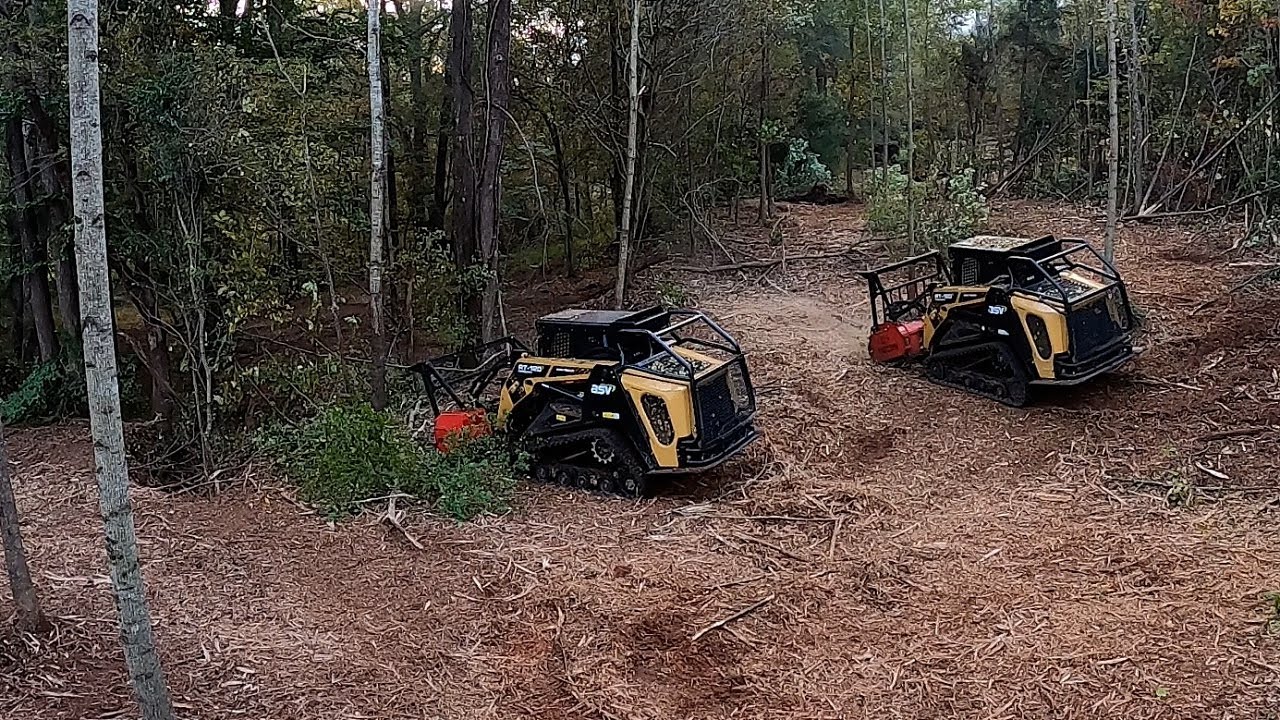 Forestry Mulching with Fecon Bullhog DCR and Fecon Blackhawk