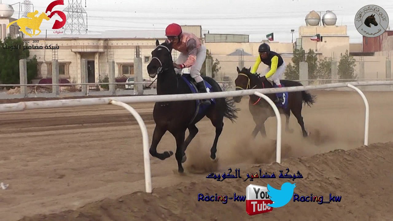 ابوالسيد || أسطبل الهنداس