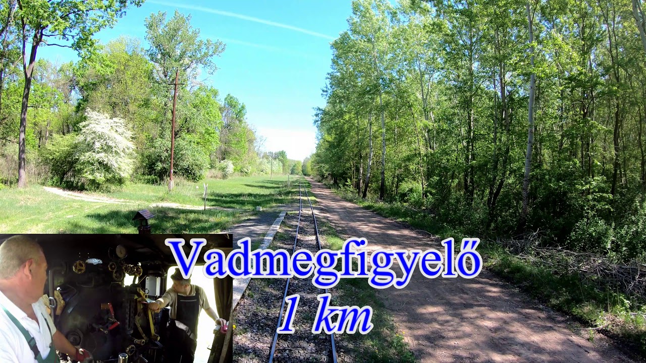 The Line Pörböly - Gyöngyösoldal (Nr. 310) 2018