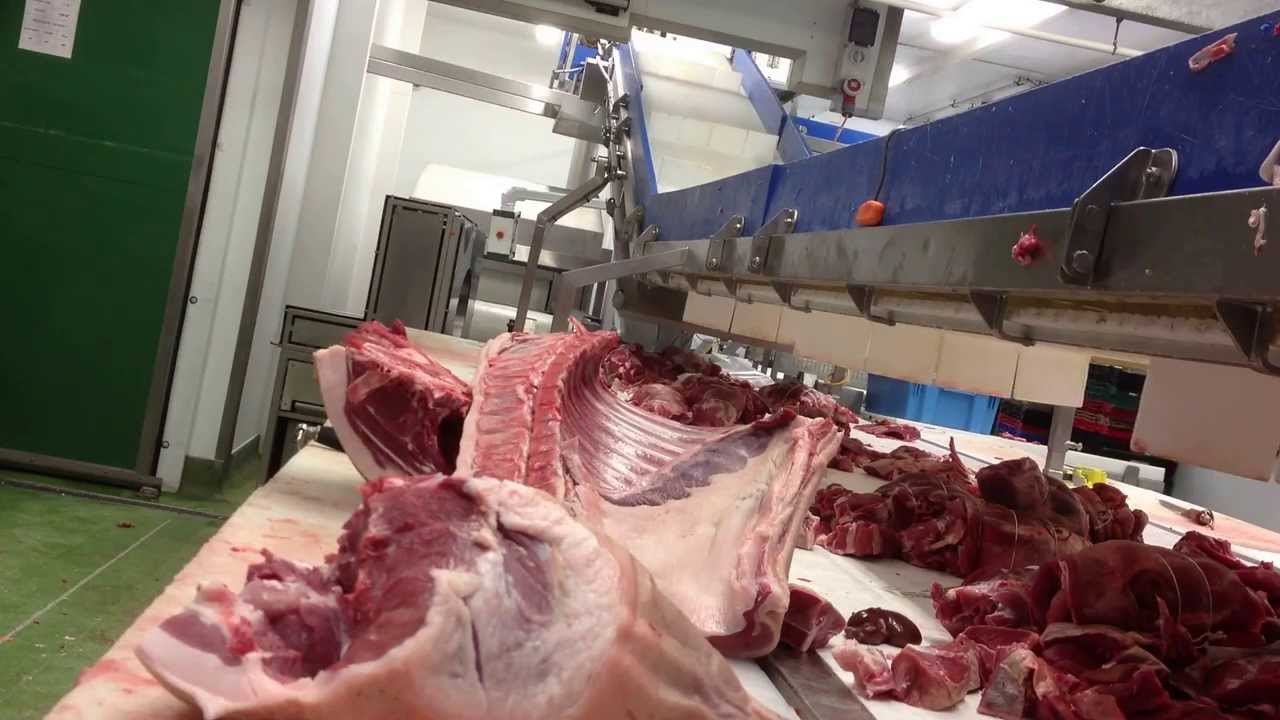 butcher school 1, Butching a side of pork into joints