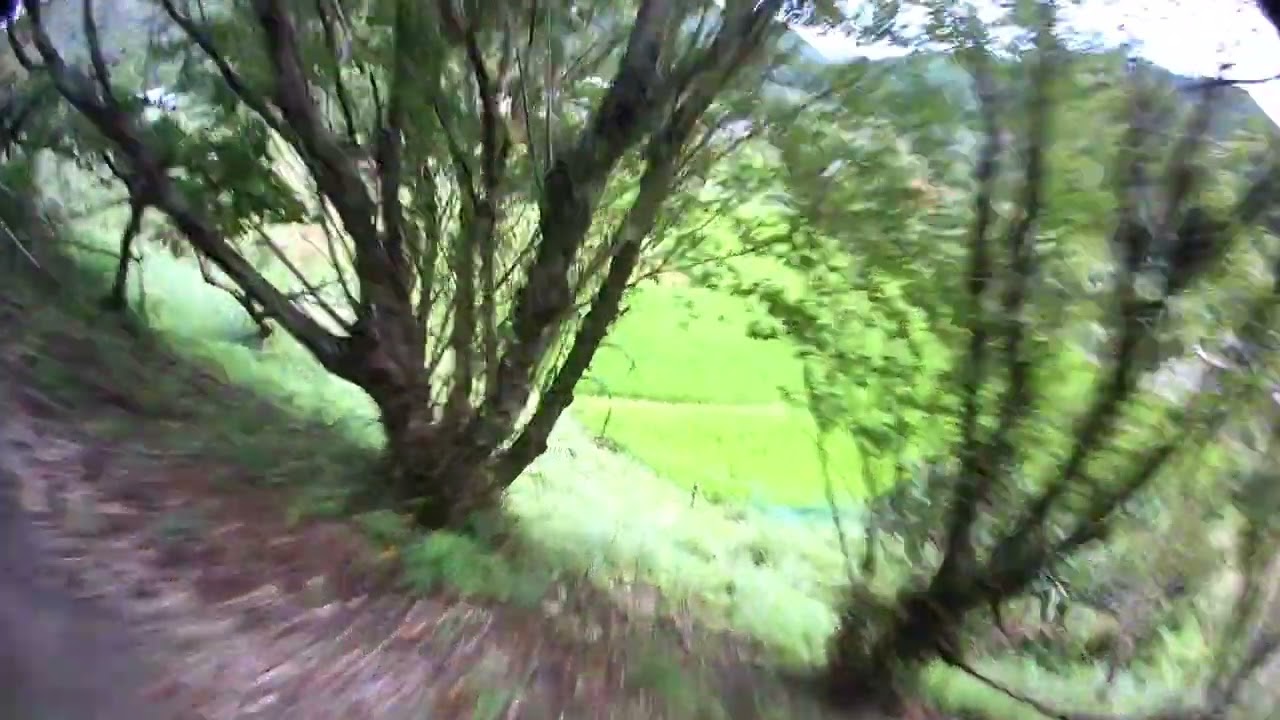 QAV JB Micro Swift / rancam thumb #9