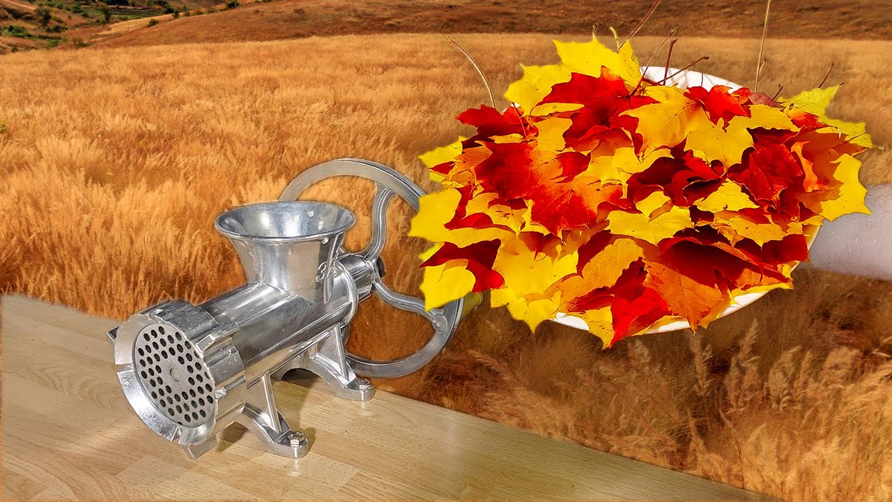 Experiment: Meat Grinder VS Fall Leaves