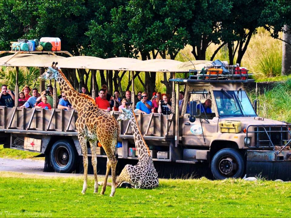 Kilimanjaro Safaris Ride Audio