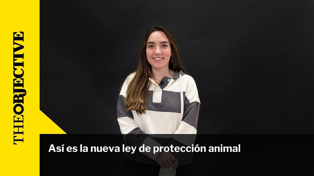 As&iacute; es la nueva ley de protecci&oacute;n animal