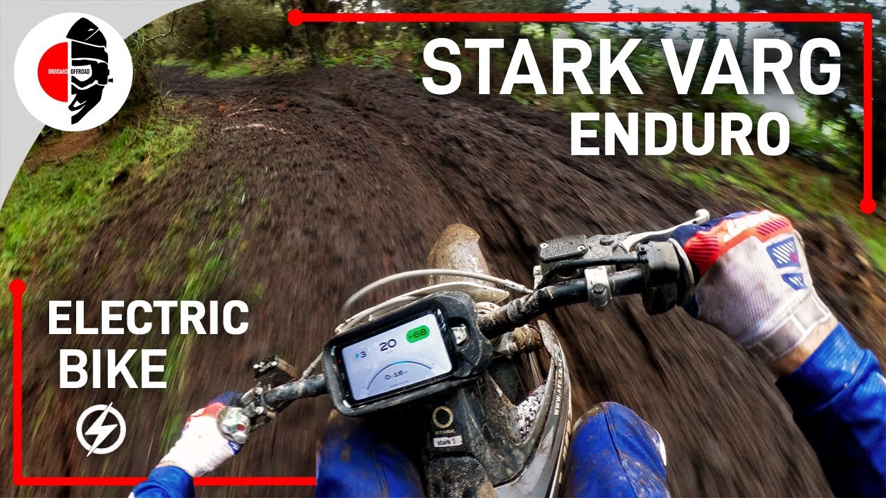 Dodging Trees on a Stark Varg (80hp electric motocross bike) | 2024 Berm Buster Trail Ride