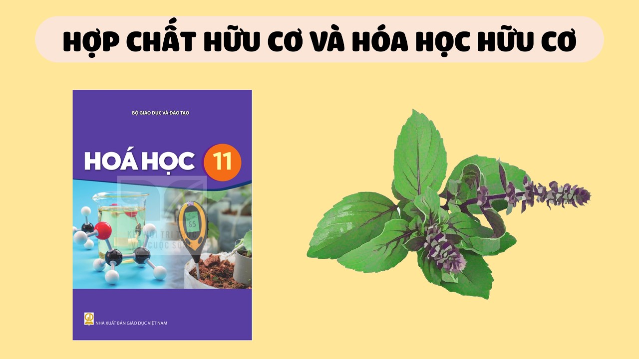 [HÓA 11] Hợp Chất Hữu Cơ Và Hóa Học Hữu Cơ (Sách Cánh Diều, Chân Trời Sáng Tạo, Kết Nối Tri Thức)