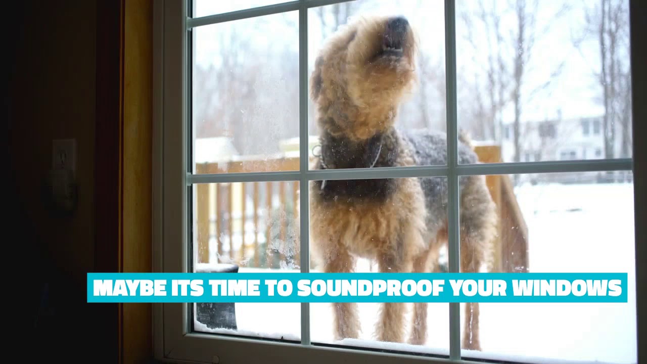 Stop Noise From Barking Dogs