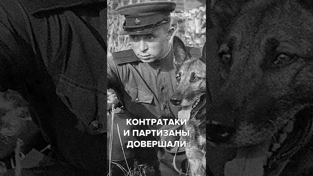 Феномен котлов Восточного фронта: искусство окружения