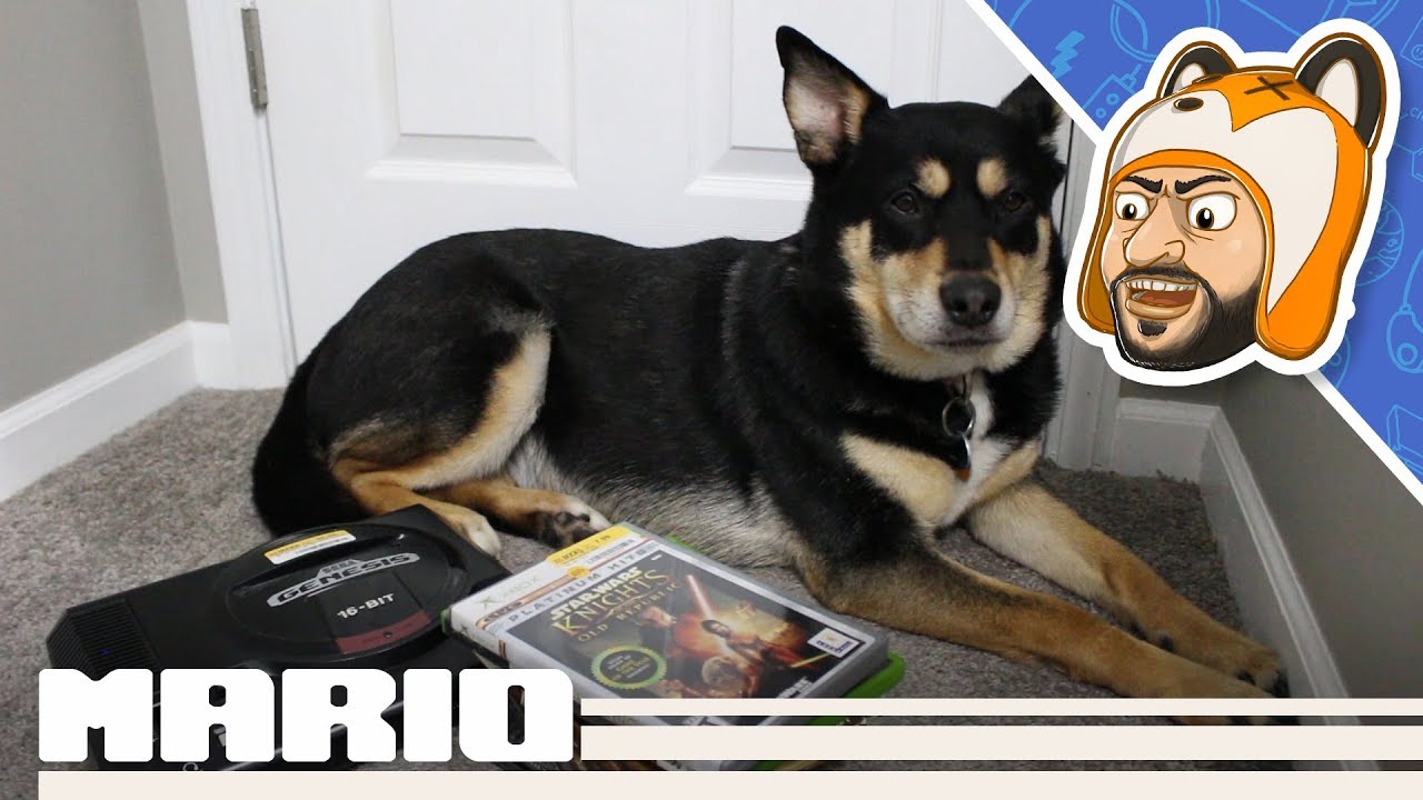 Thrifty Gaming Pickups: Half Price Books Game & Console Haul! - Episode 21