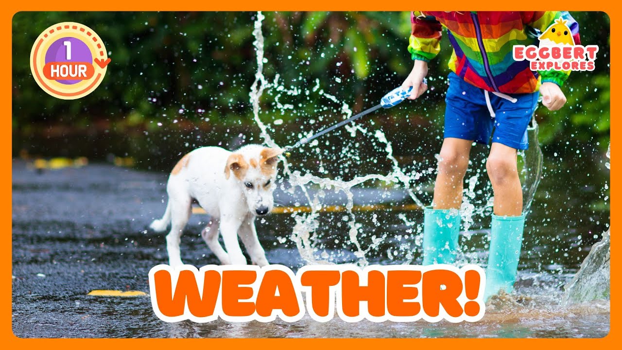 How&rsquo;s the Weather? | 1 Hour+ Fun Learning About Weather for Kids