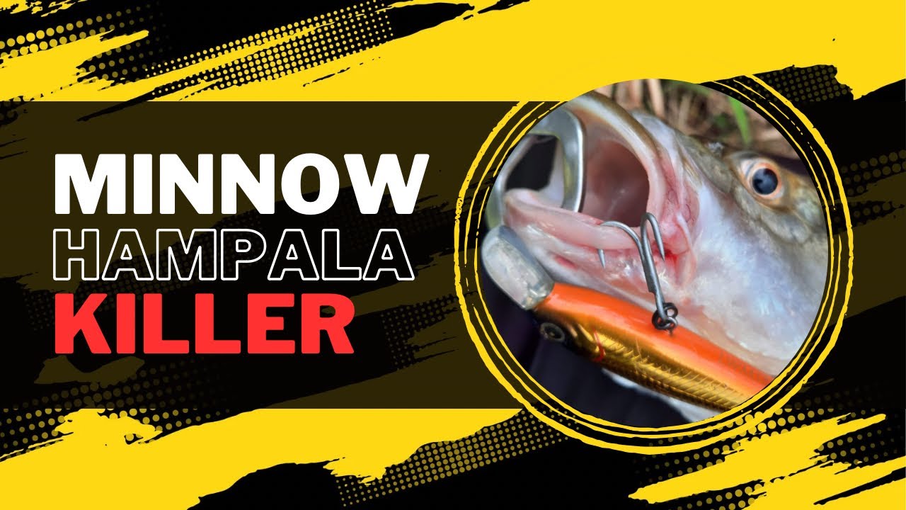 LURE TERBAIK UNTUK CASTING HAMPALA