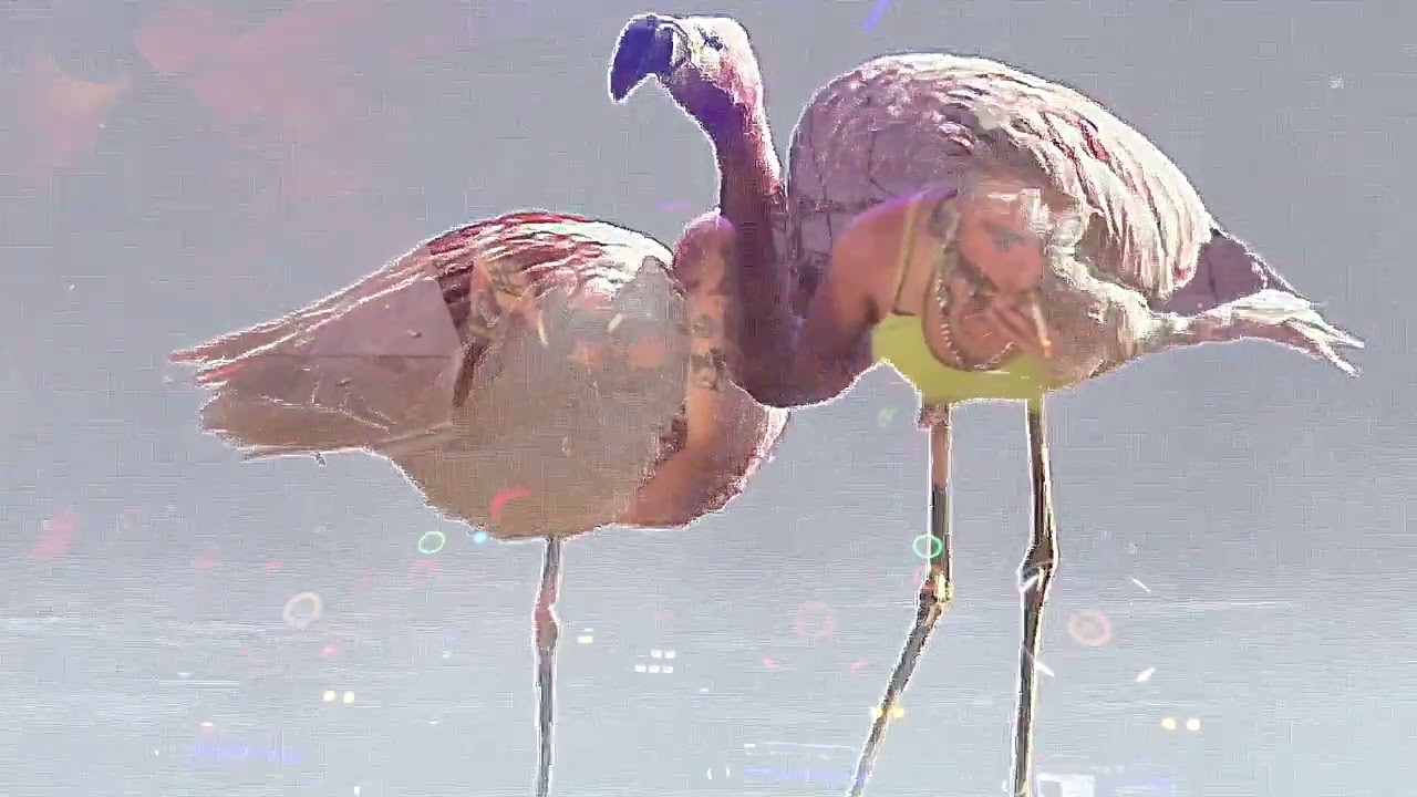 Mastra - Flamingo Nights (Official Video)