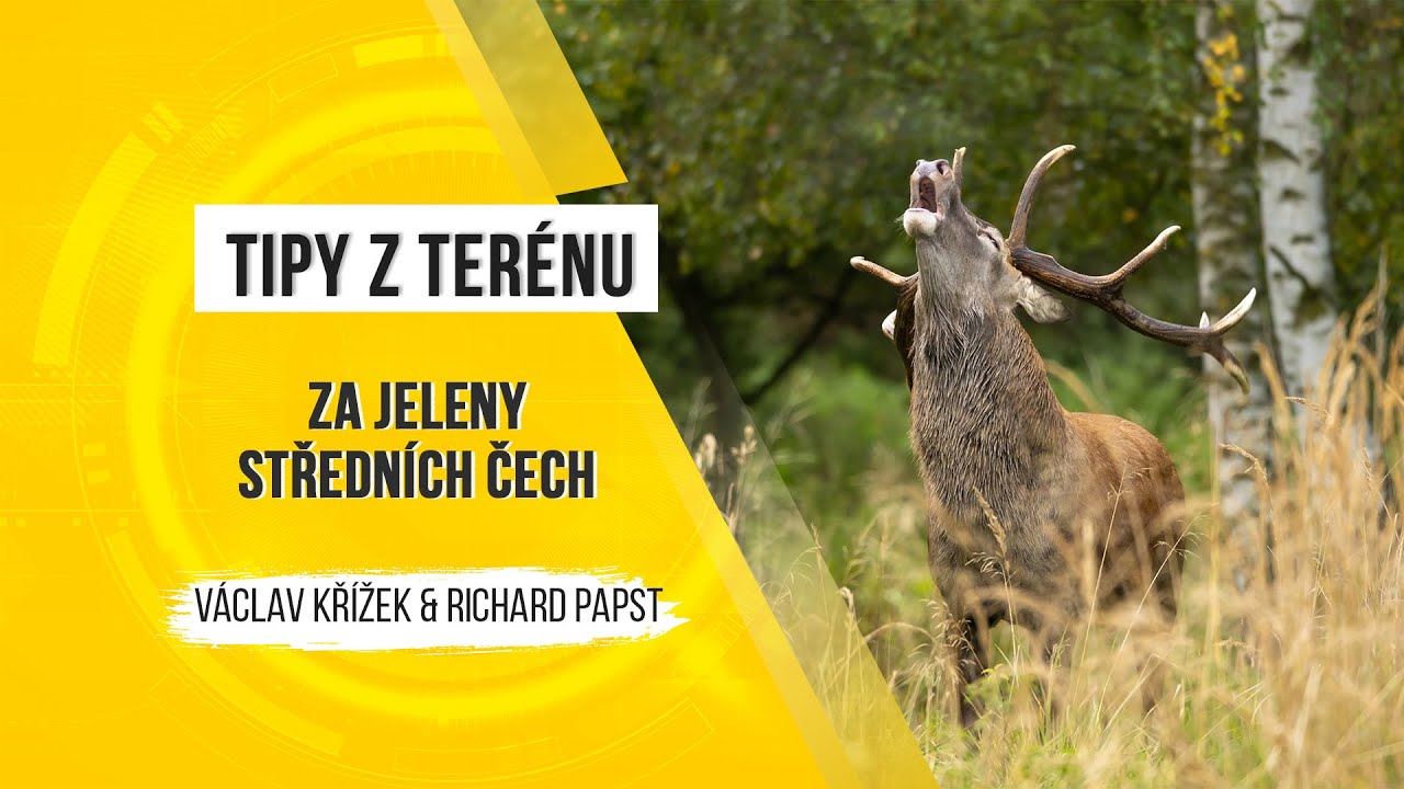 Tipy z terénu - za jeleny