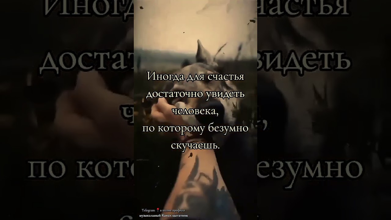 #banditsymphony #musicquotes #musicalinspiration #lyricalquotes #quoteoftheday #musical #цытата
