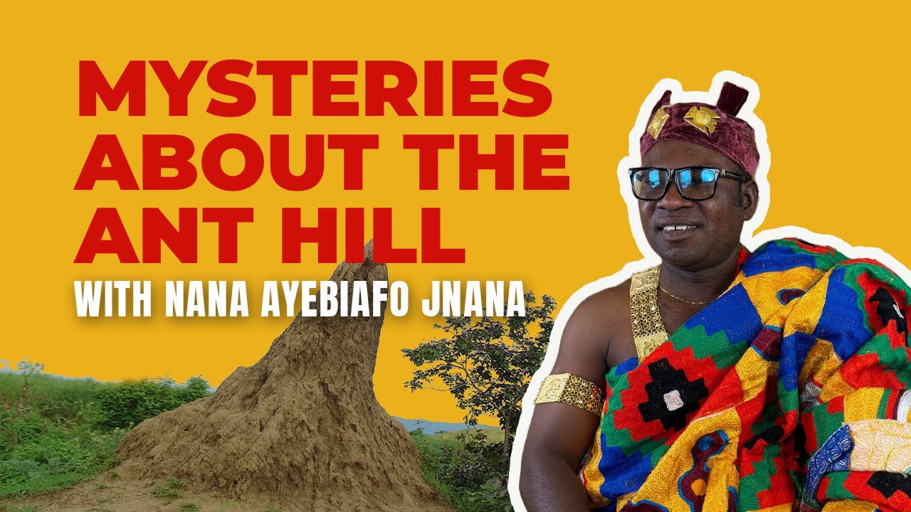 Deepest Mysteries About The Ant Hill