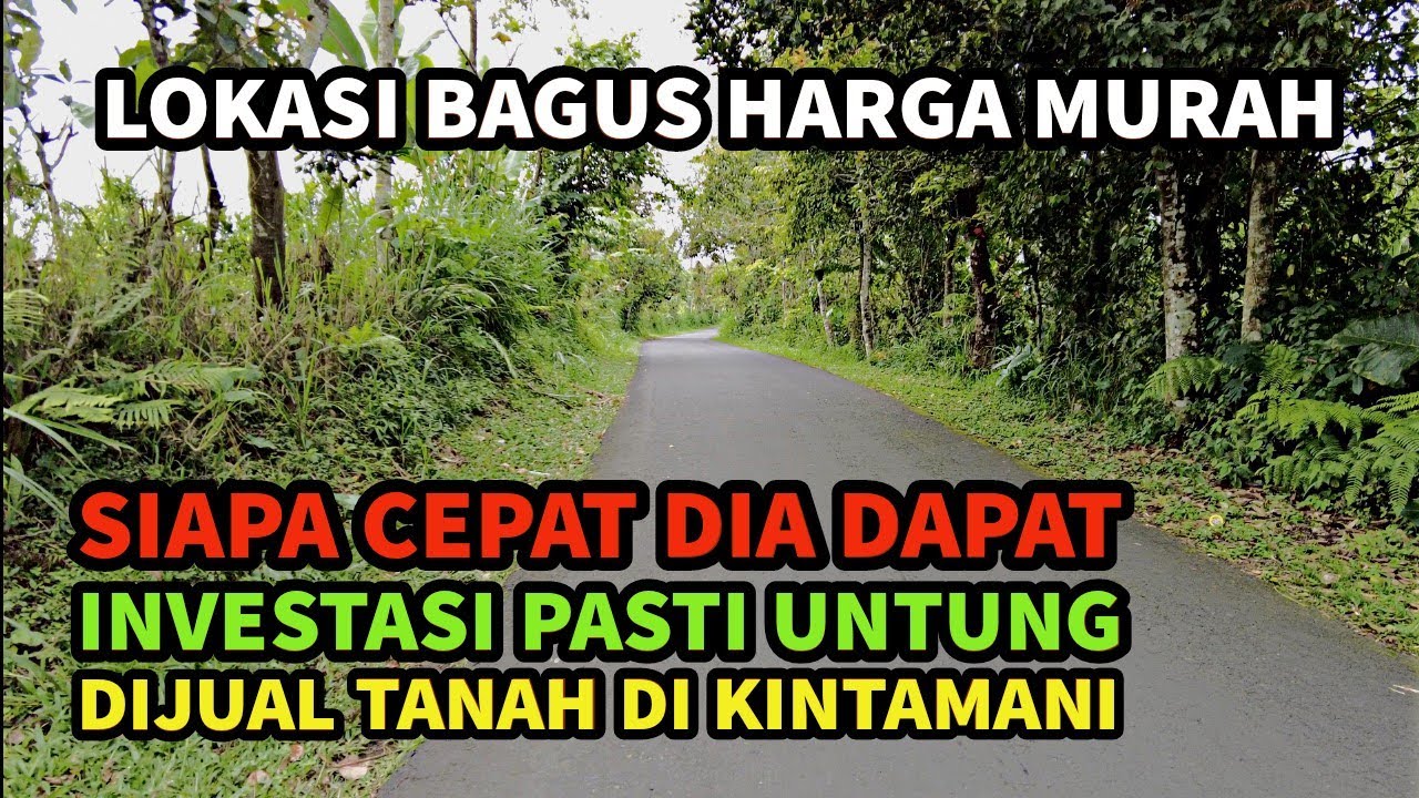 Tanah Lahan Kebun Dijual Murah Di Kintamani Bali