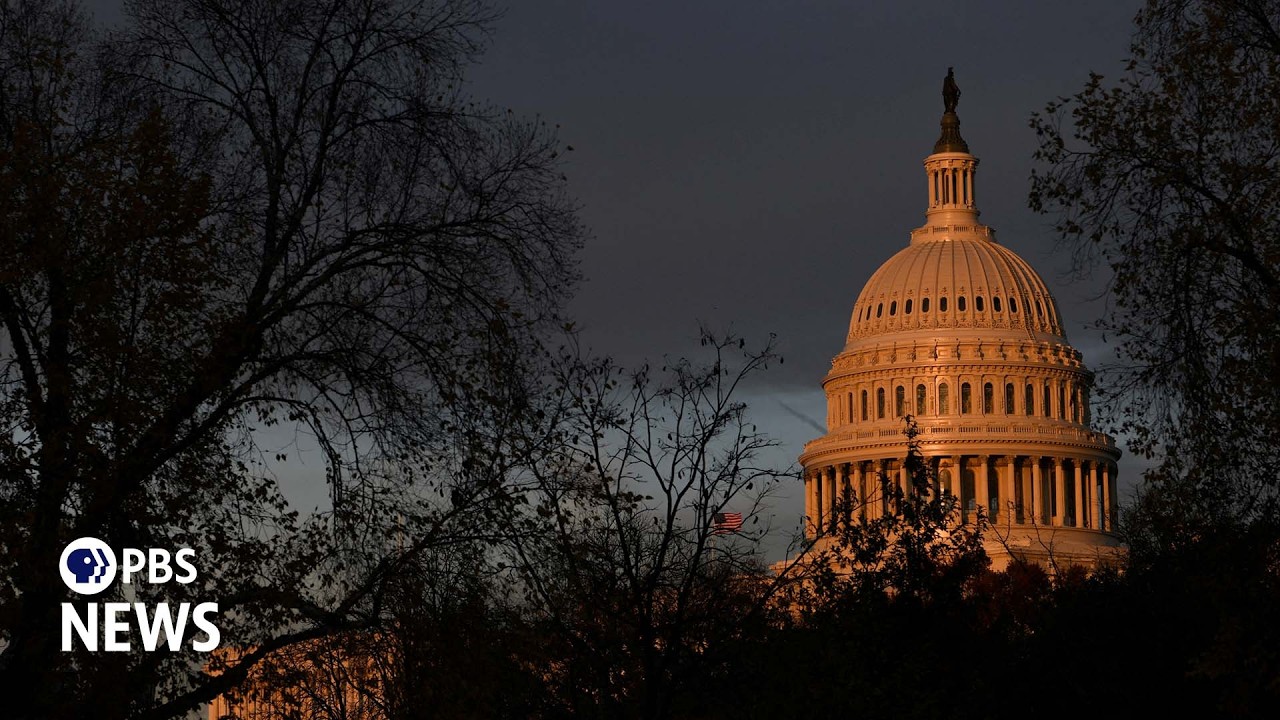 WATCH LIVE: House Oversight task force hearing on birth tourism as Trump seeks to limit citizenship
