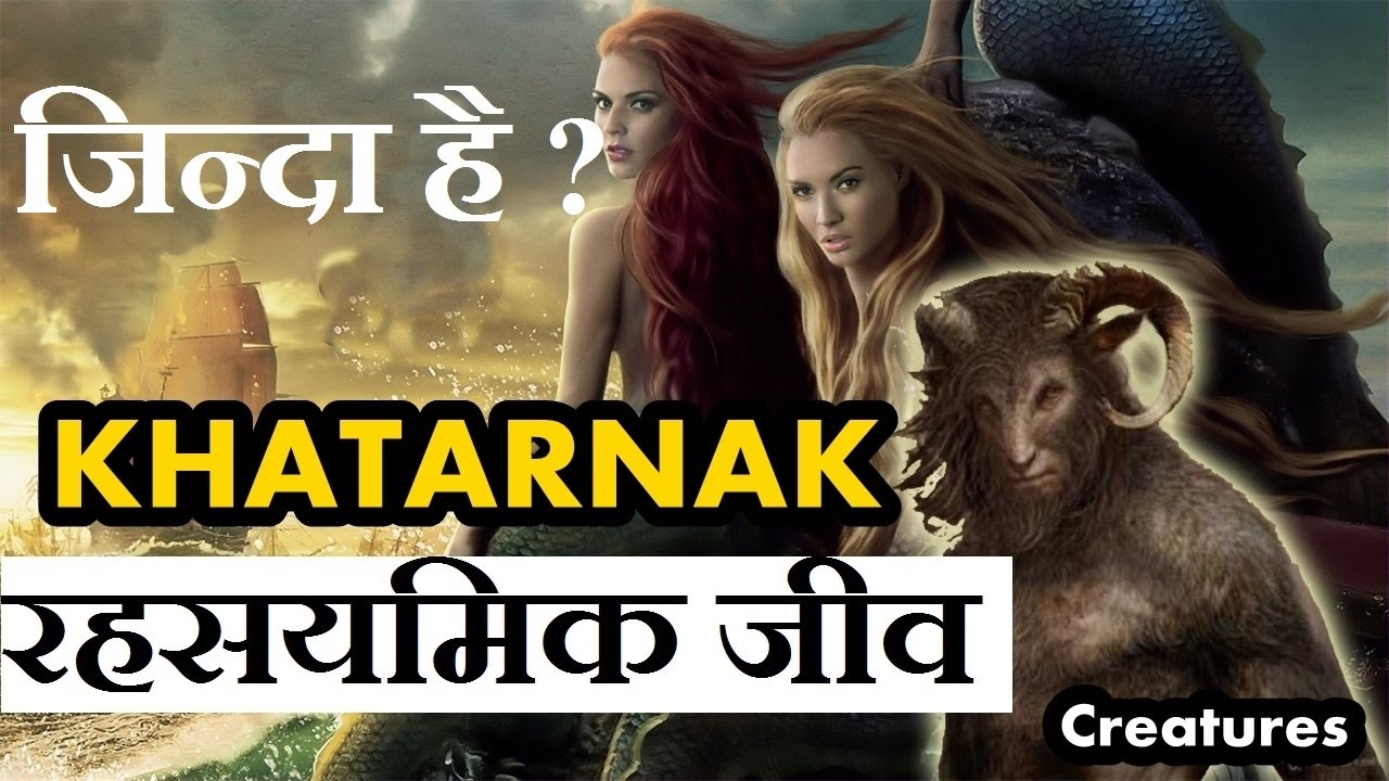 Episode 16: जिन्दा है ? ये रहस्यमिक जीव ? | Mysterious Creature Alive | Mysterious Nights