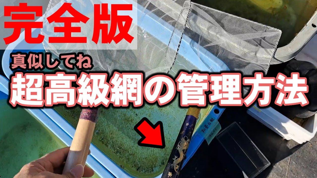 【完全版】超高級網の管理方法はこのようにします。是非真似して下さい。安らぎAQUAちゃんねる