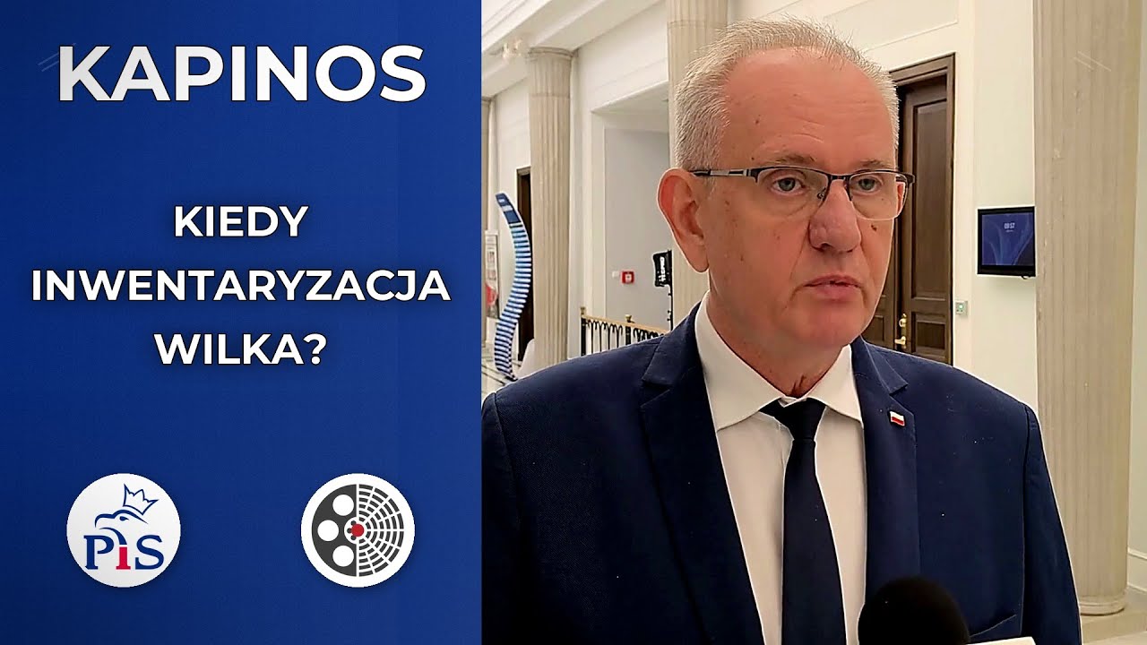 Fryderyk Kapinos pyta o inwentaryzację genetyczną wilka