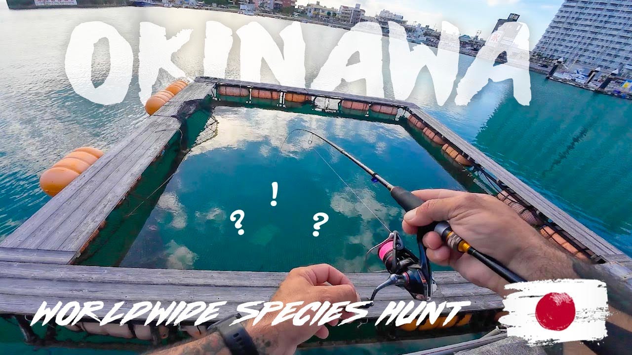 Catching Aquarium Fish on Japan's Tropical Island