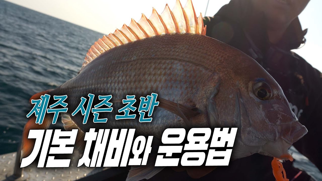 제주 초반 시즌에 필요한 기본 채비와 운용법에 대해 알아보 출조하세요