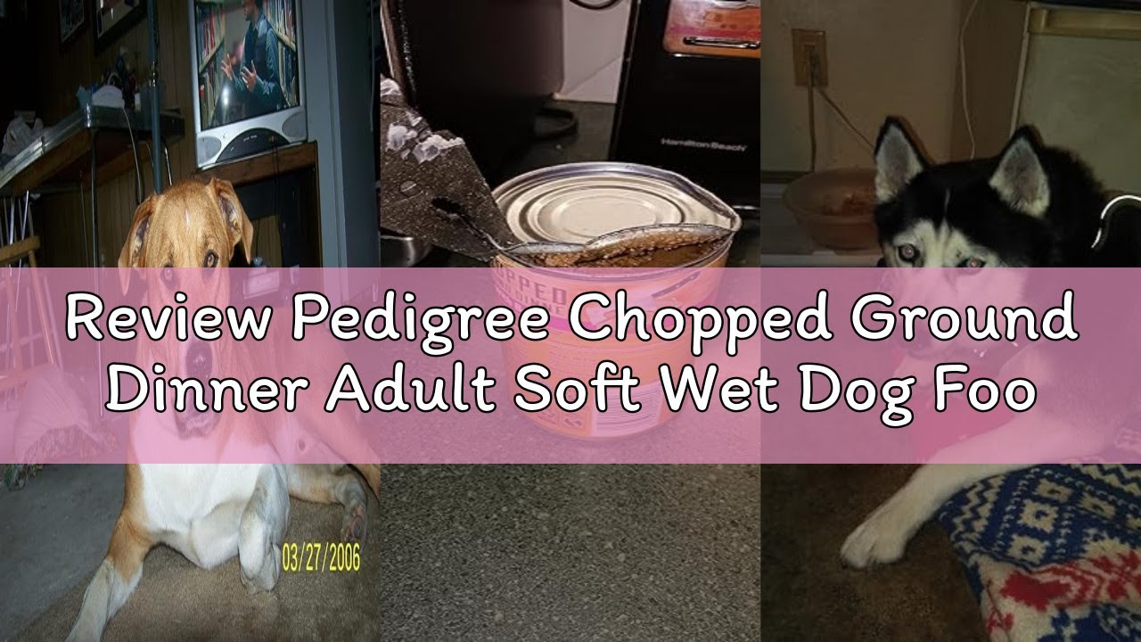 Review Pedigree Chopped Ground Dinner Adult Soft Wet Dog Food Chicken & Rice Dinner, 13.2 oz. Cans 1