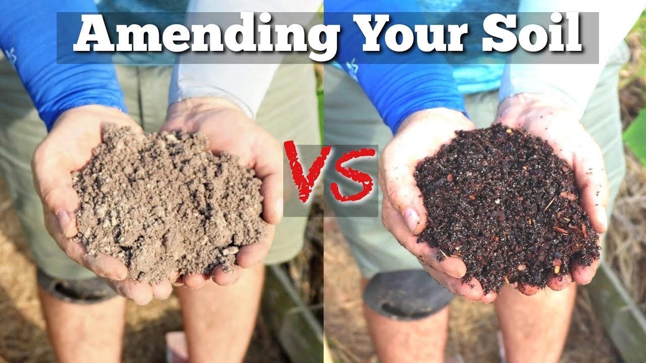 Amending Your Soil to increase drainage and increase the retention of nutrients